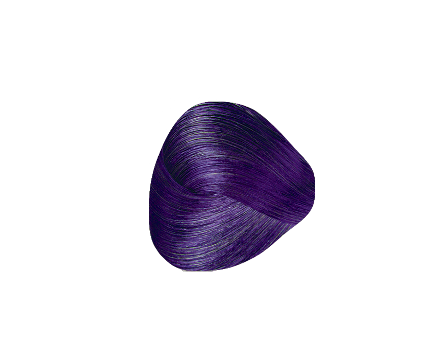 Professional Hair Color Kit - Permanent Cosmetic Color Dark Violet Blond 6.2